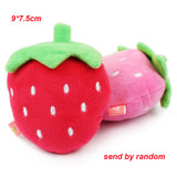 1pc Cute Fruit Design Pet Dog